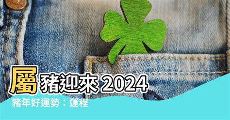 2024豬年運程1959|2024屬豬幾歲、2024屬豬運勢、屬豬幸運色、財位、禁忌